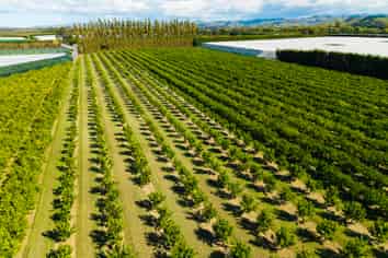 75 Brown Road, Ormond