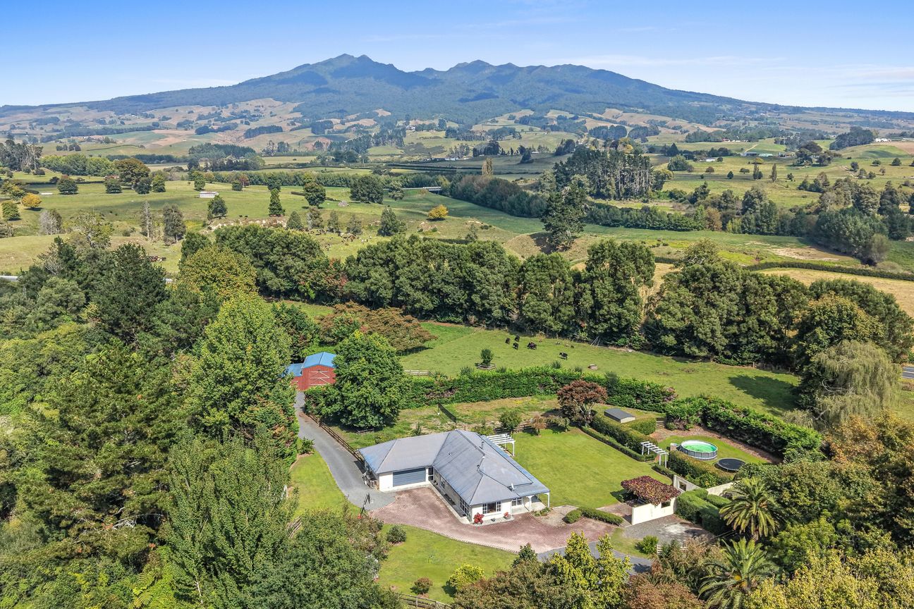 Grazing, Space and Opportunity – pohled 2