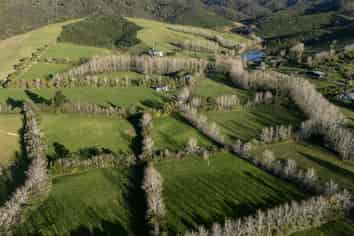 683F Puketona Road, Haruru