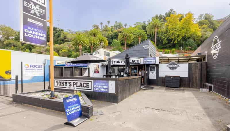 29 Carlyle Street, Napier South