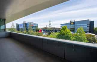 Elevated Takapuna Office Space