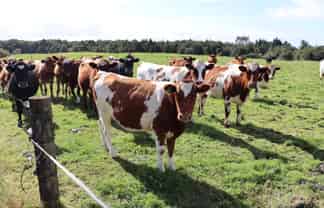 970 Pembroke Road West, Stratford