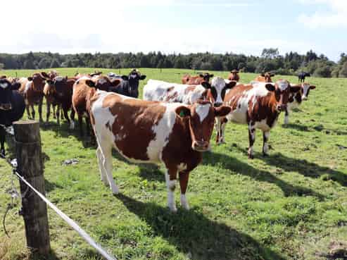 970 Pembroke Road West, Stratford