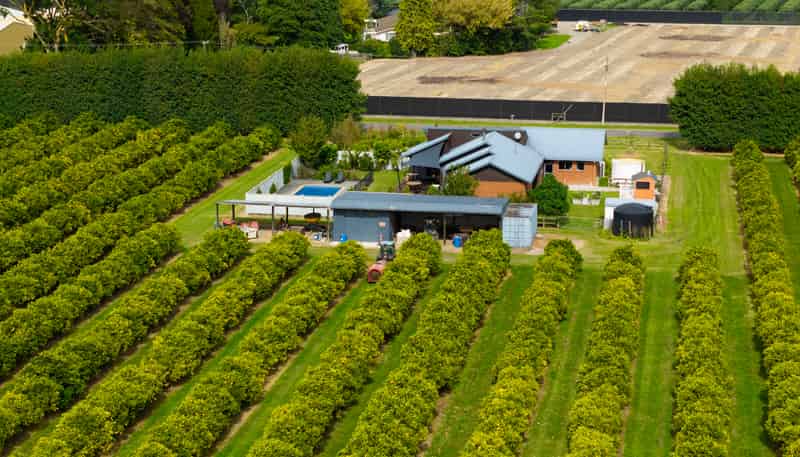 18 Jackson Road, Waerengaahika