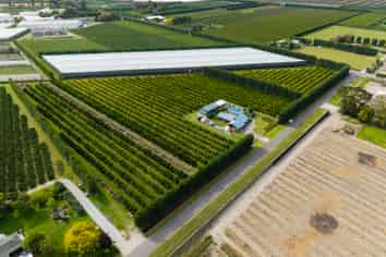 18 Jackson Road, Waerengaahika