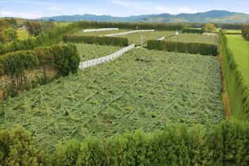 79 Woodlands Road, Waihi Beach