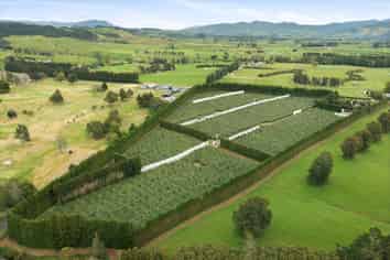 79 Woodlands Road, Waihi Beach