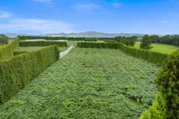 79 Woodlands Road, Waihi Beach