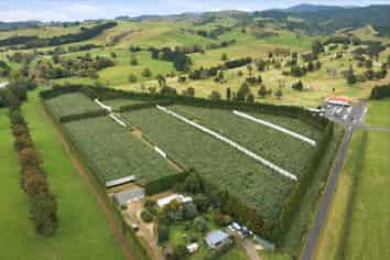 79 Woodlands Road, Waihi Beach