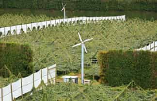 79 Woodlands Road, Waihi Beach