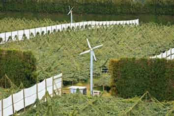 79 Woodlands Road, Waihi Beach