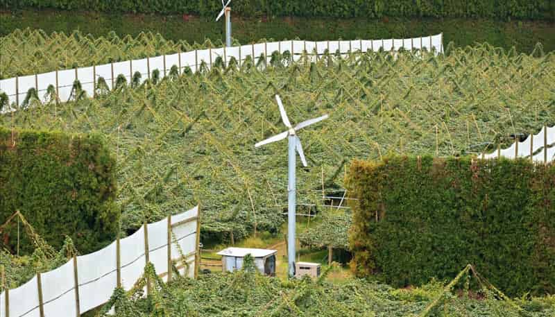 79 Woodlands Road, Waihi Beach