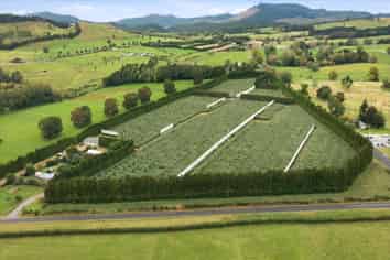 79 Woodlands Road, Waihi Beach