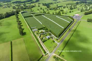 79 Woodlands Road, Waihi Beach