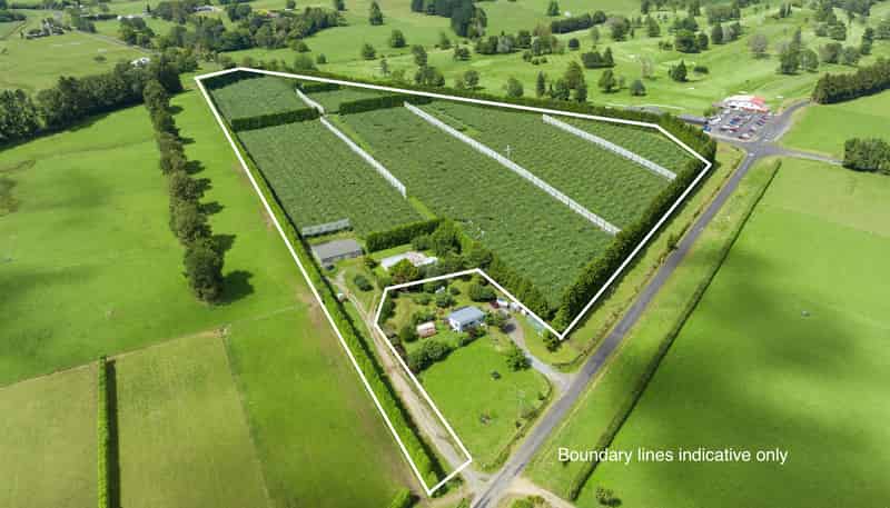 79 Woodlands Road, Waihi Beach