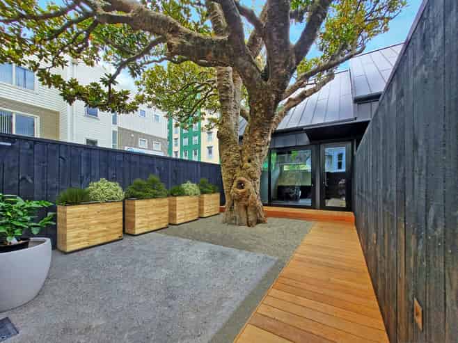 99B Webb Street, Mount Cook