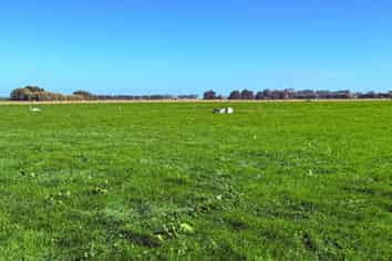 81 Tapper Road, Mokotua