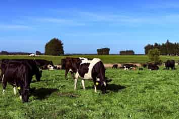 81 Tapper Road, Mokotua