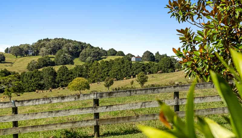 123 Whakapirau Road, Wellsford