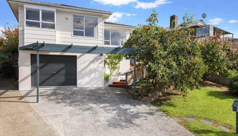  Mcfarland Street, Remuera