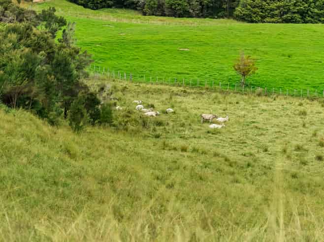 Lot 6 Ruakaka Ridge View, Ruakaka