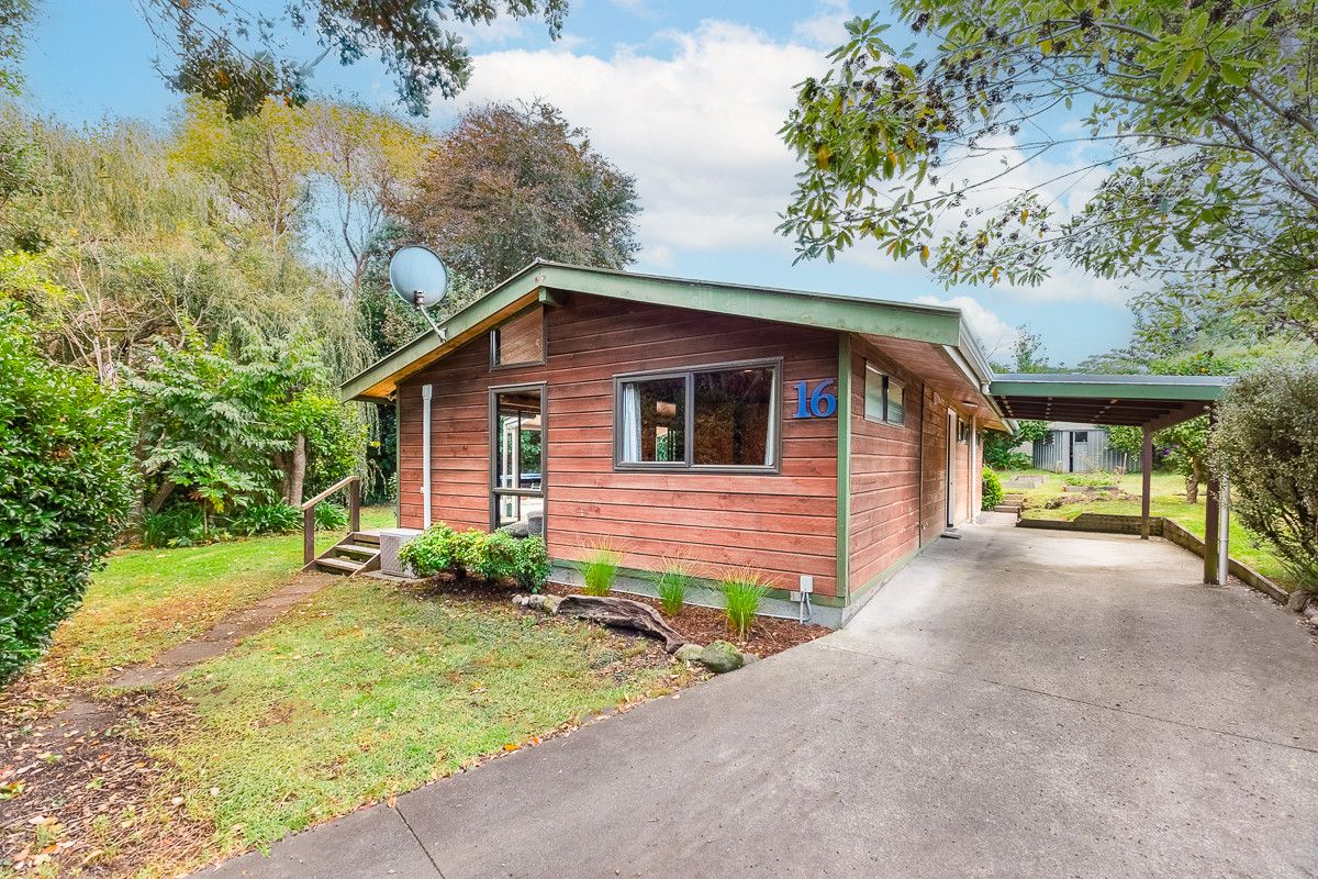 Price Reduced! And what a Gem!, Otaki