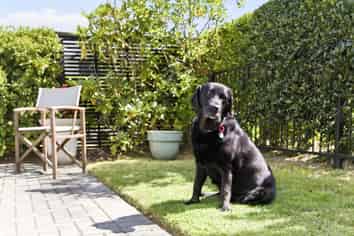 55 Chateau Crescent, Rangatira Park