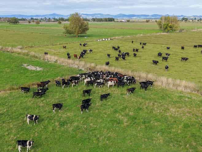 1338 State Highway 25, Pipiroa