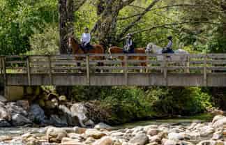 217 Harvey Road, Marahau