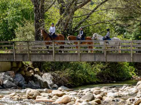217 Harvey Road, Marahau