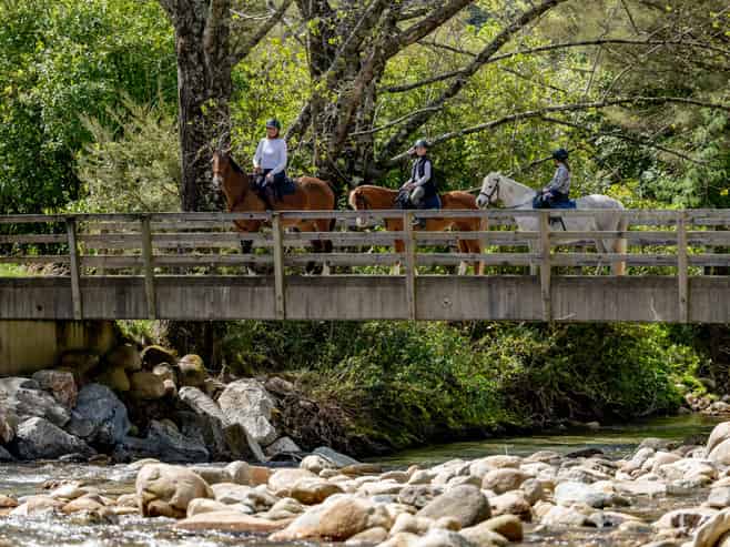 217 Harvey Road, Marahau
