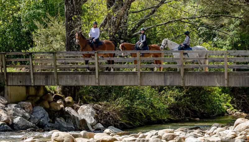 217 Harvey Road, Marahau