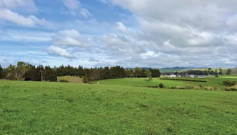 738 Taniwha Road, Waerenga