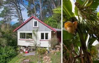 294 Tapu Coroglen Road, Tapu