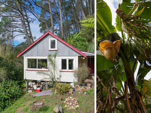 294 Tapu Coroglen Road, Tapu