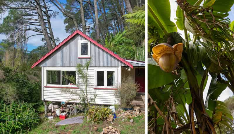 294 Tapu Coroglen Road, Tapu