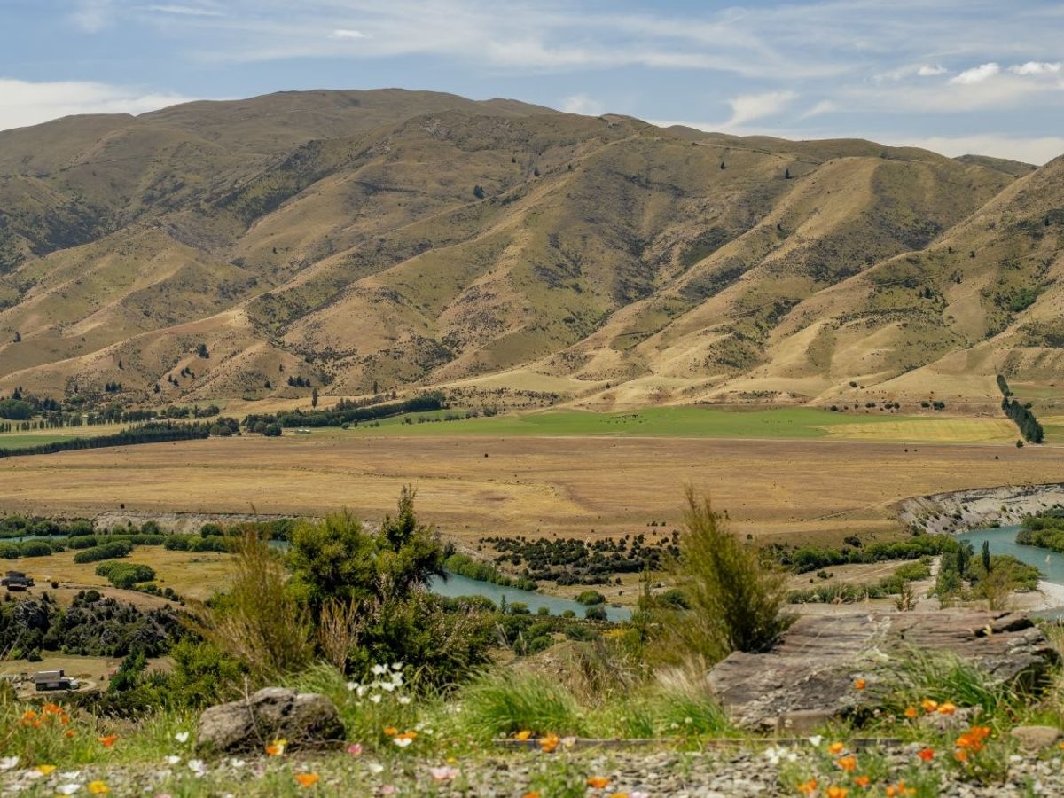 51 Westreca Ridge Lane, Queensberry, Central Otago, Central Otago / Lakes District - Photo 3