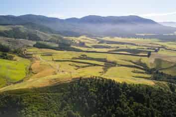  Tuscany Downs - 74 Glentui Bush Road, Oxford