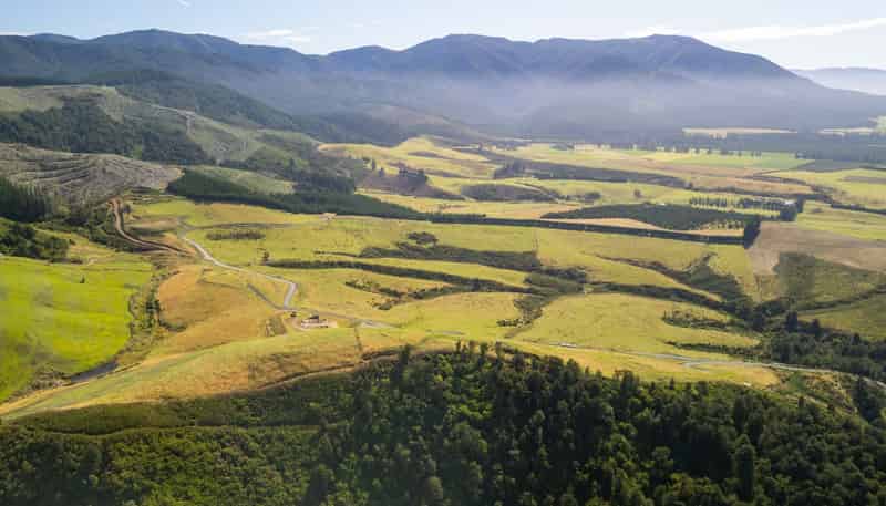  Tuscany Downs - 74 Glentui Bush Road, Oxford