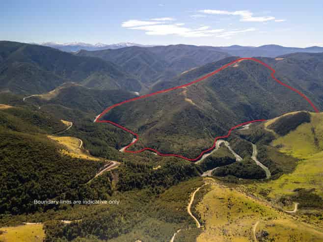  Tuscany Downs - 74 Glentui Bush Road, Oxford