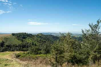  Tuscany Downs - 74 Glentui Bush Road, Oxford