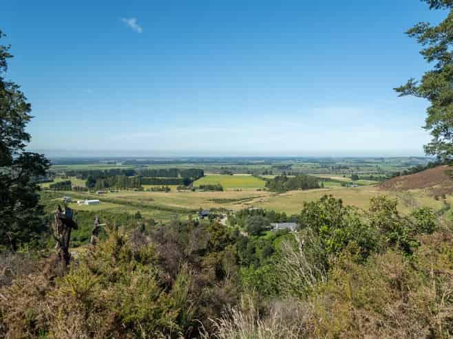  Tuscany Downs - 74 Glentui Bush Road, Oxford