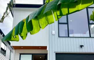 6C Palmer Avenue, Glen Eden