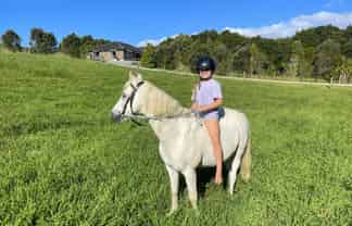 527a Whangaripo Valley Road, Wellsford