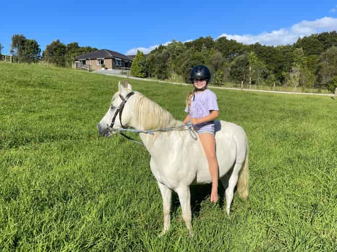 527a Whangaripo Valley Road, Wellsford