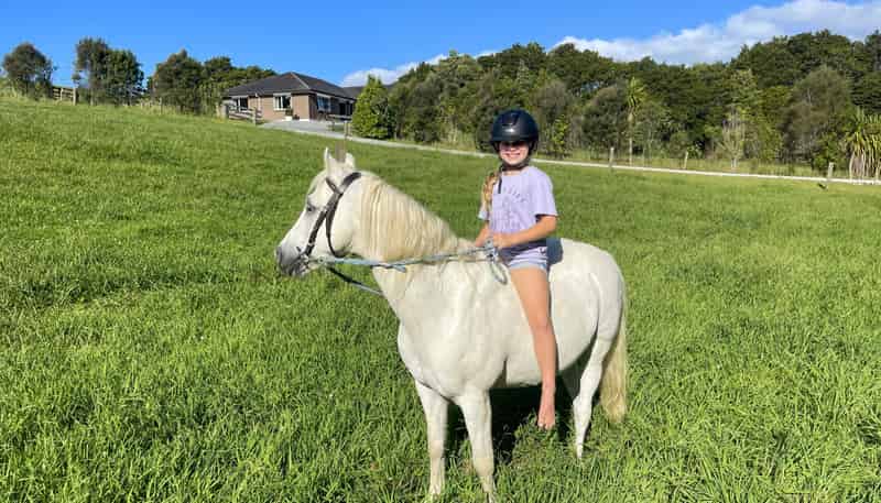 527a Whangaripo Valley Road, Wellsford