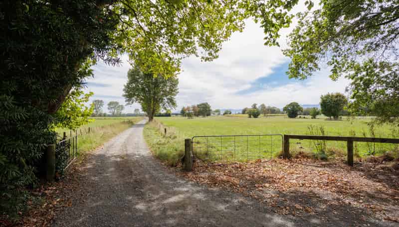 164 Station Road, Matamata