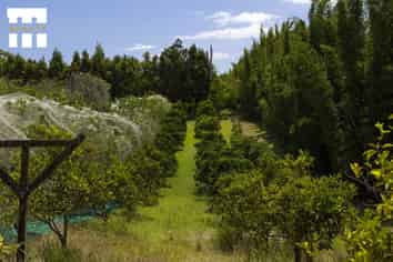 142 Takahe Road/ 2 Kaka Street, Ahipara