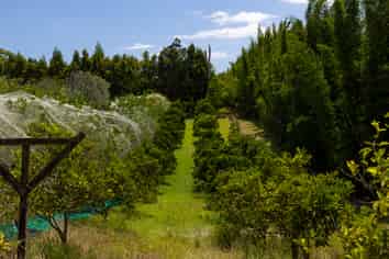 142 Takahe Road/ 2 Kaka St, Ahipara