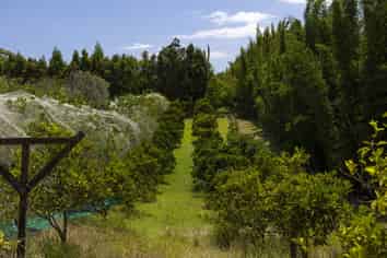 142 Takahe Road/ 2 Kaka St, Ahipara